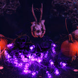 XIFEINIU Halloween Purple Spider String Lights with Remote Controller, 30 LEDs Battery Operated Waterproof Spider Lights with 8 Lighting Modes for Halloween Party Indoor Outdoor Garden Yard Decorations