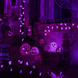 XIFEINIU Halloween Purple Spider String Lights with Remote Controller, 30 LEDs Battery Operated Waterproof Spider Lights with 8 Lighting Modes for Halloween Party Indoor Outdoor Garden Yard Decorations